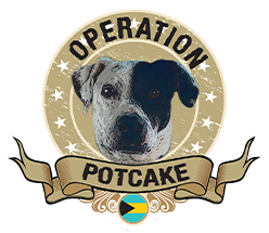 Operation Potcake 2024