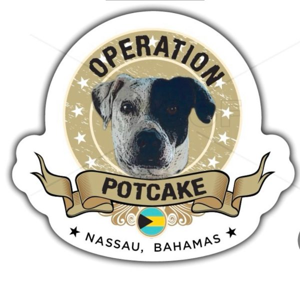 Operation Potcake magnet